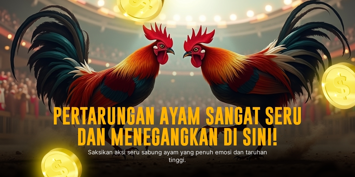 Mengenal Jenis Ayam Bangkok dalam Sabung Ayam SV388